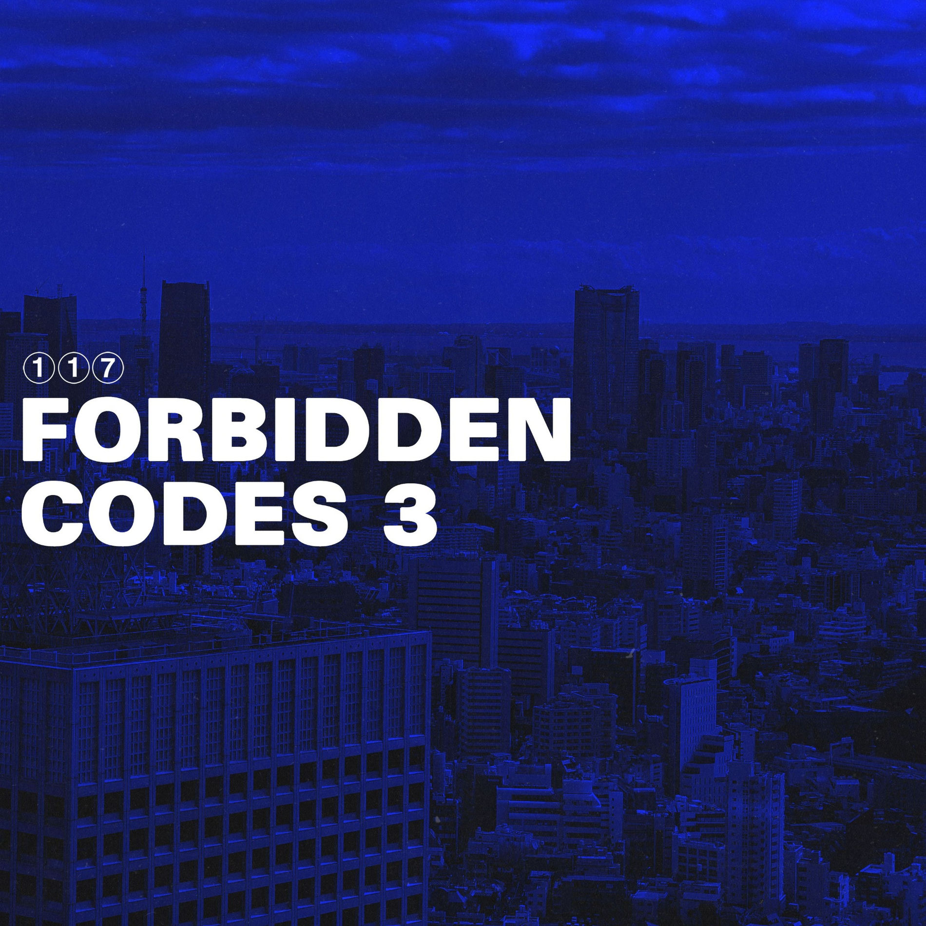 Album cover of Forbidden Codes 3