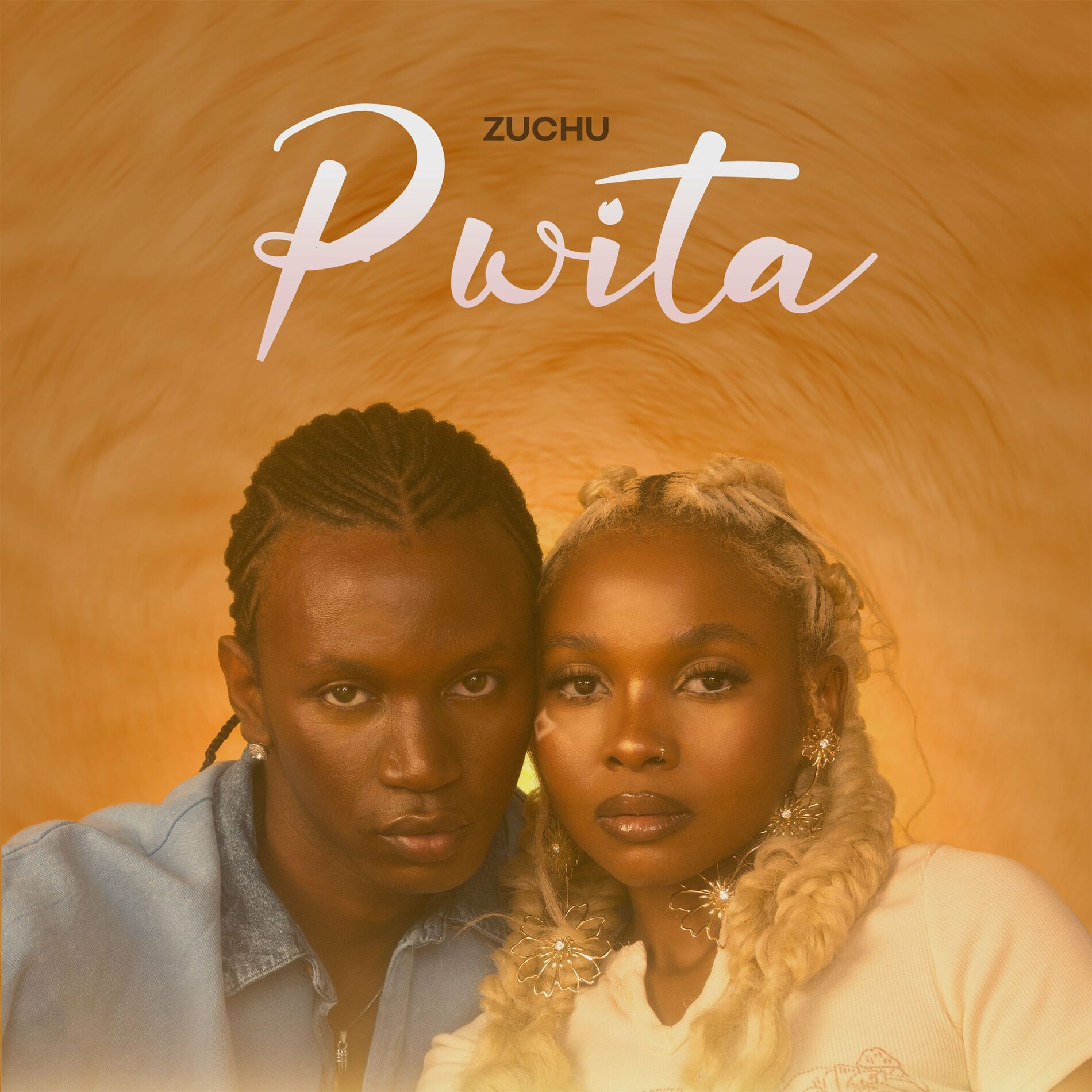 Album cover of Pwita