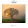 Morgentau by WALDEN album cover