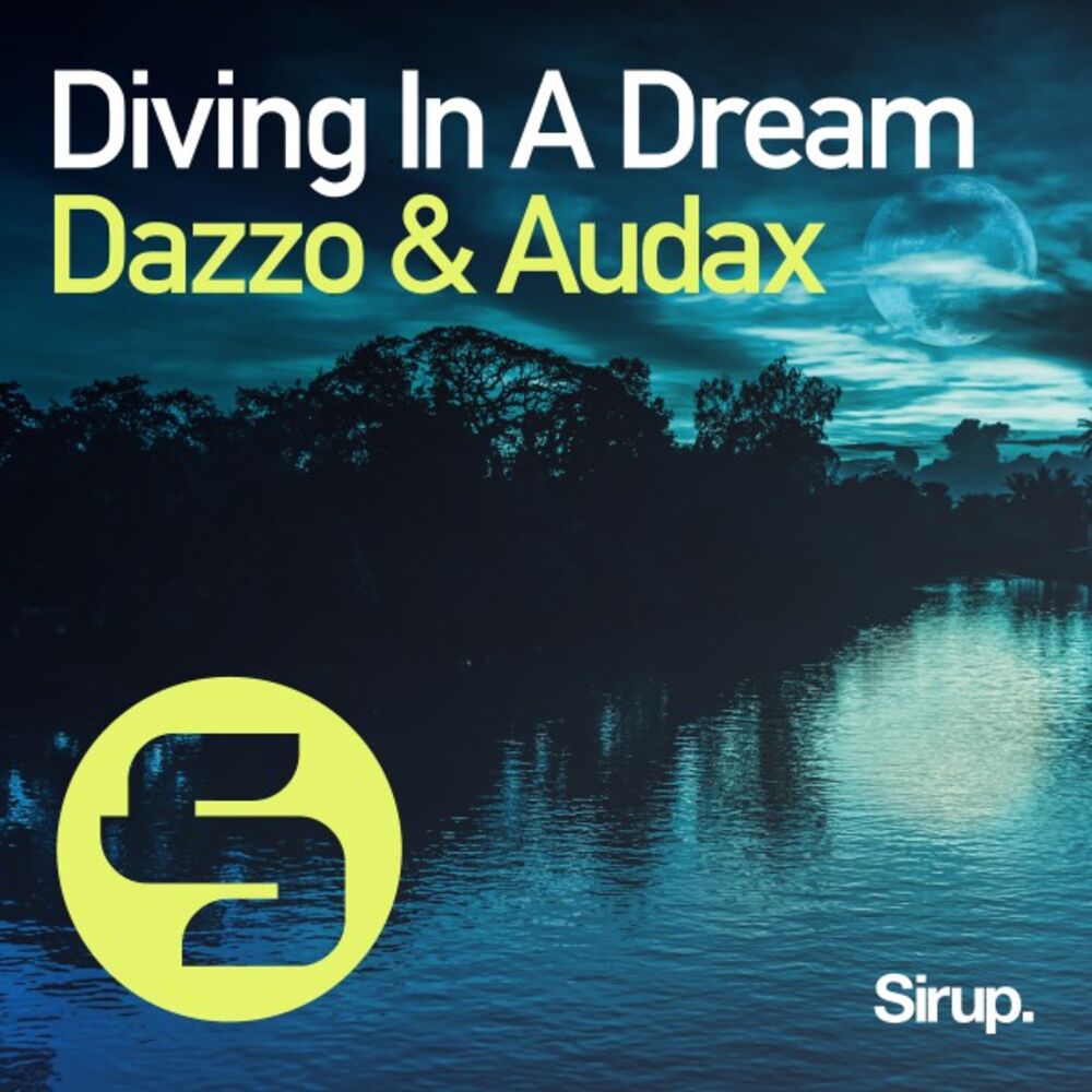 Picture of Diving in a Dream