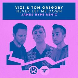 Cover of Never Let Me Down (James Hype Remix)
