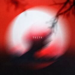 Cover of Teste