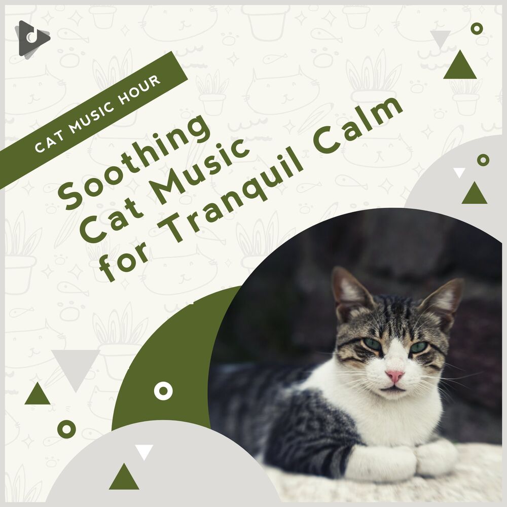Picture of Soothing Cat Music for Tranquil Calm
