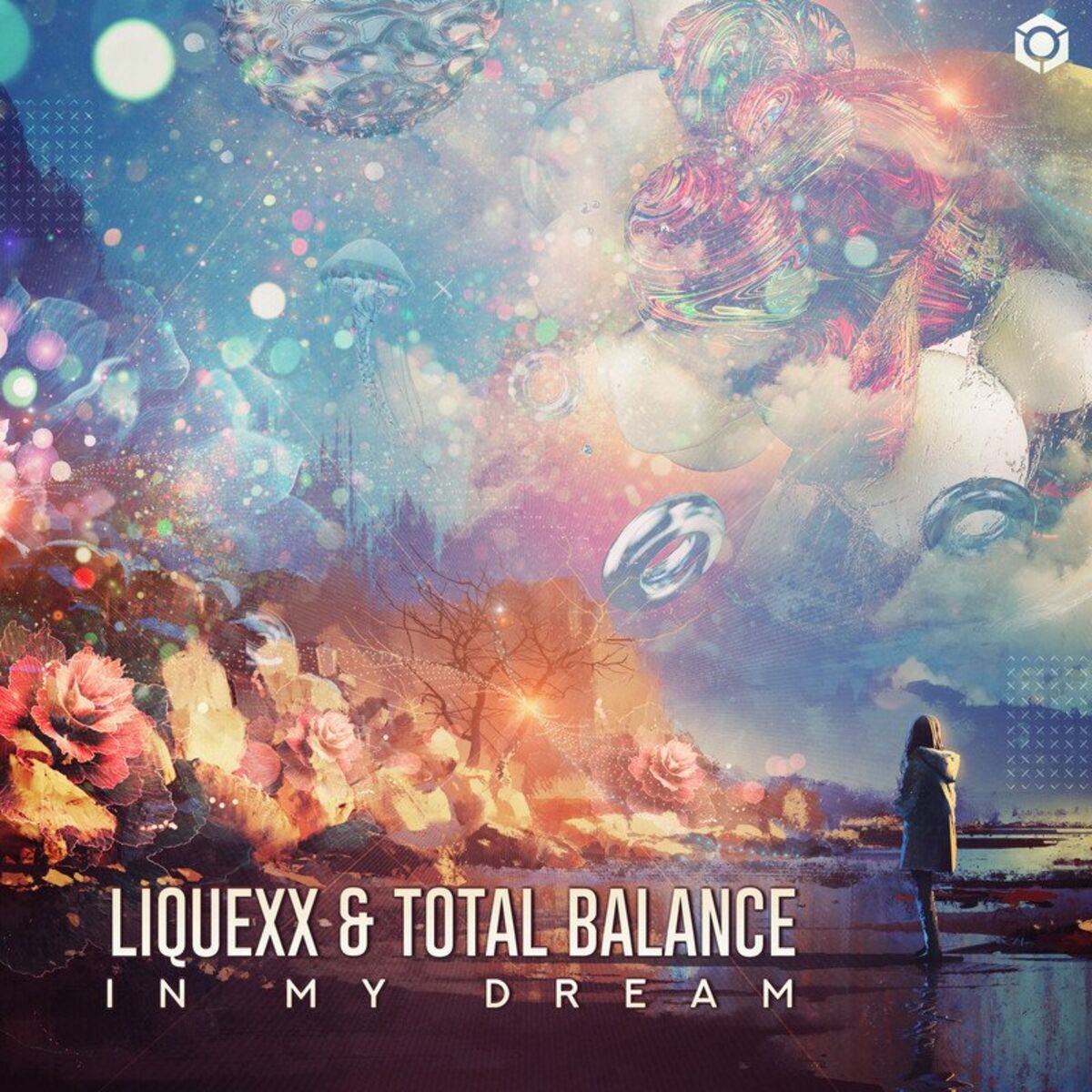 Album cover of In My Dream