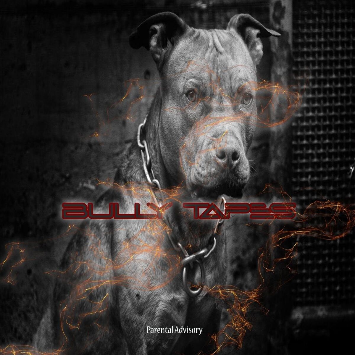 Album cover of Bully Tapes, Vol. 1