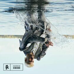 Cover of microcelebrity (Remixes)
