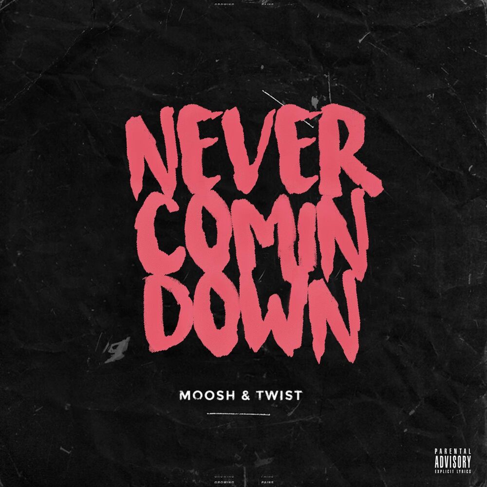 Picture of Never Comin Down
