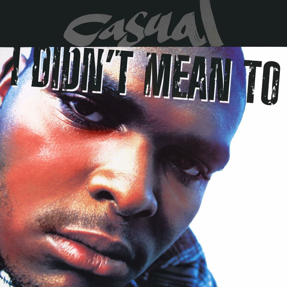 Album cover of I Didn't Mean To