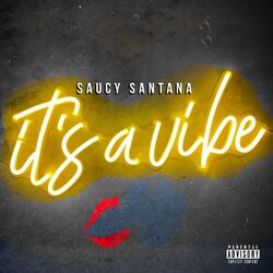 Cover of It's a Vibe