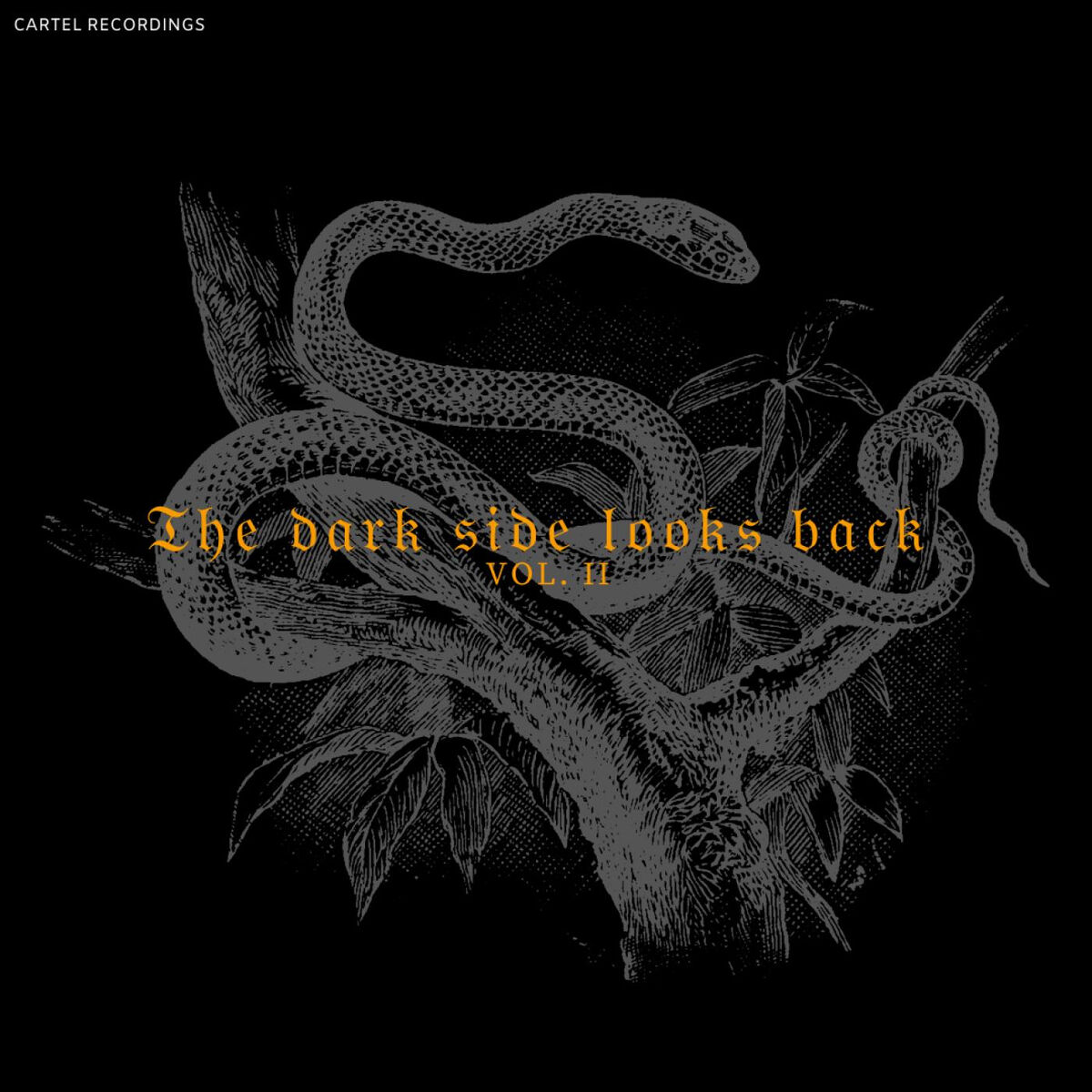 Album cover of THE DARK SIDE LOOKS BACK - Vol. II
