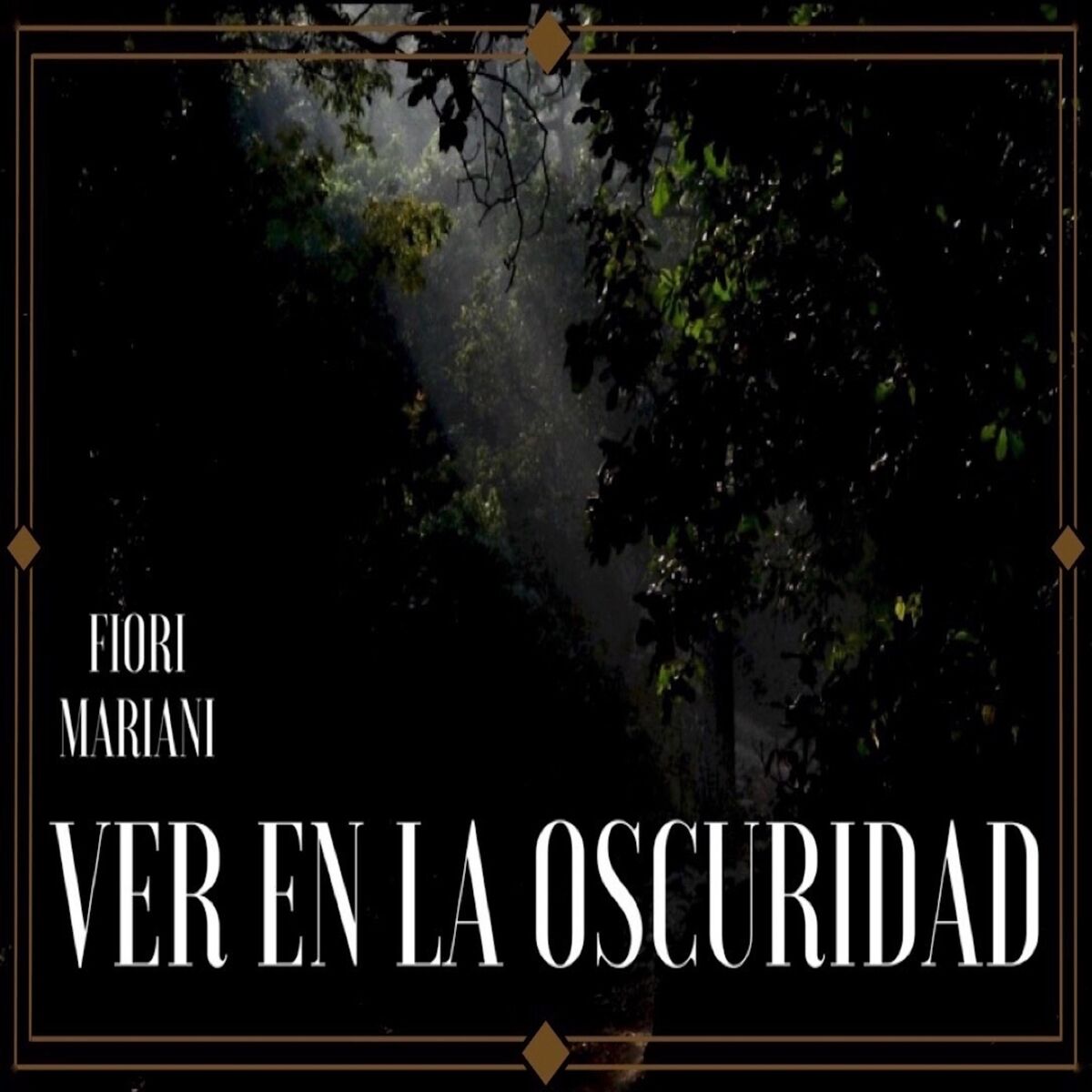 Album cover of Ver en la Oscuridad