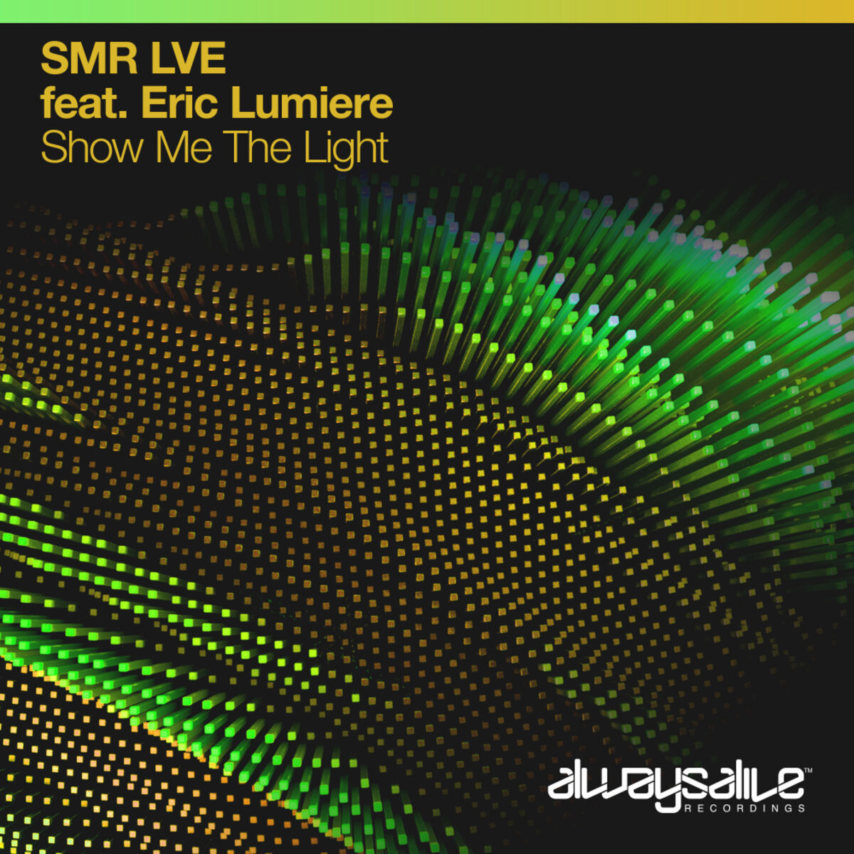 Album cover of Show Me The Light