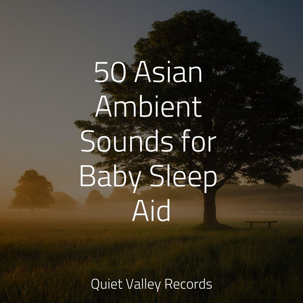Picture of 50 Asian Ambient Sounds for Baby Sleep Aid