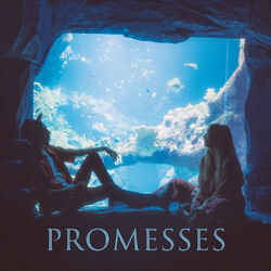 Cover of Promesses