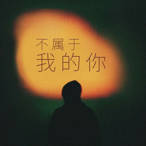 不属于我的你