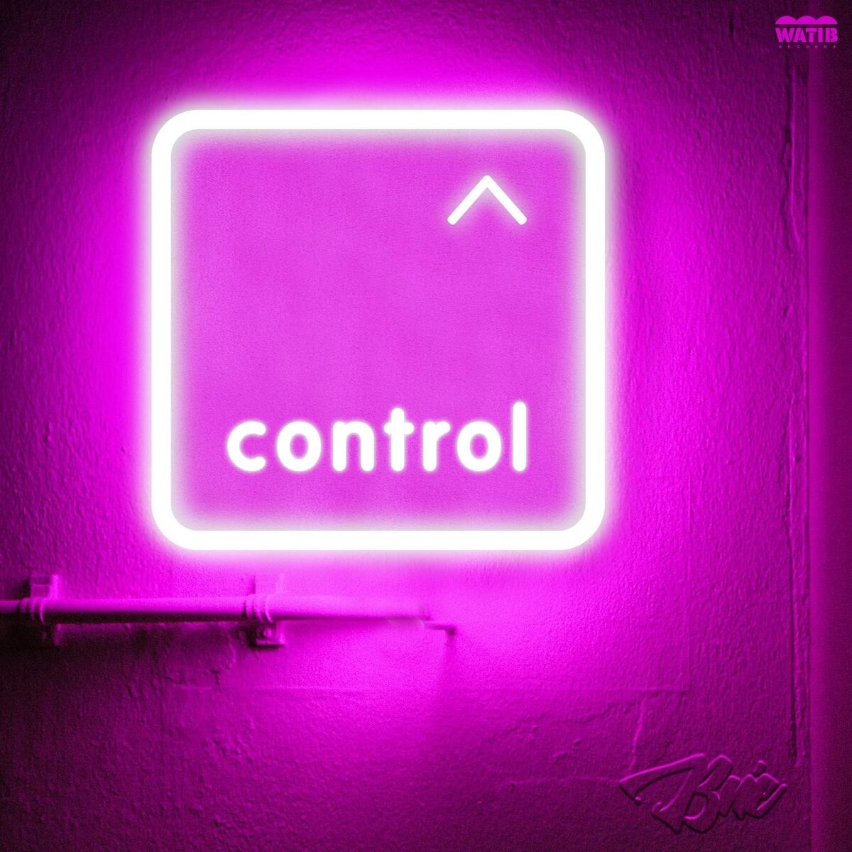 Album cover of Control