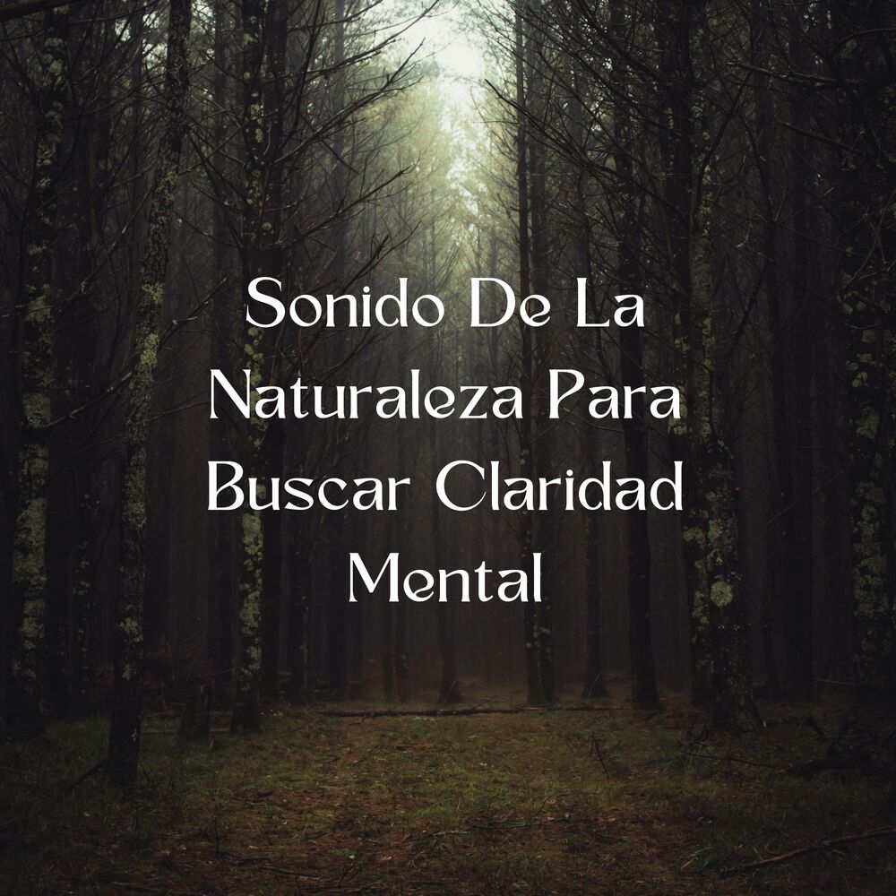 Picture of Sonido De La Naturaleza Para Buscar Claridad Mental