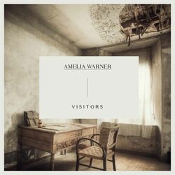 Cover of Visitors