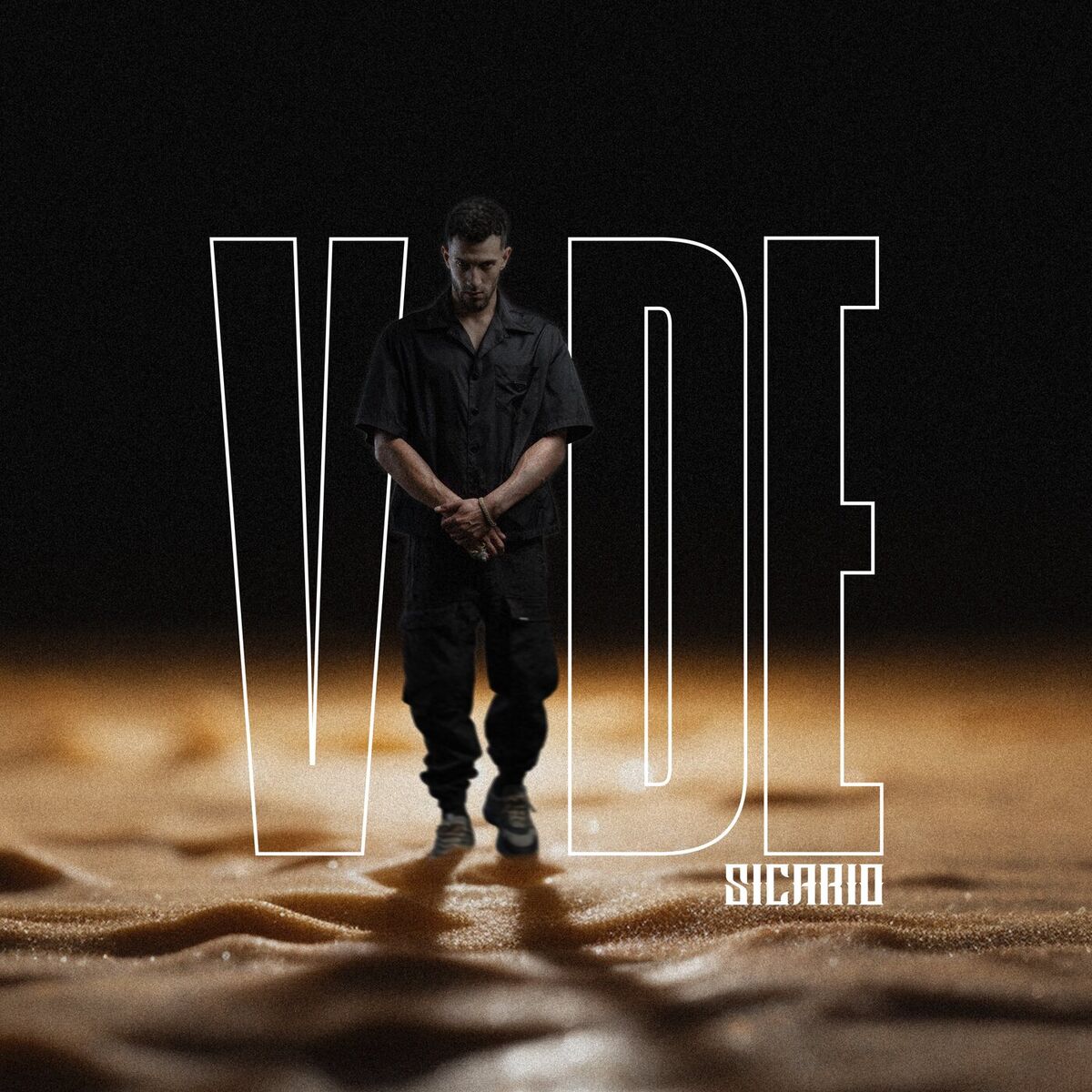 Album cover of Vide