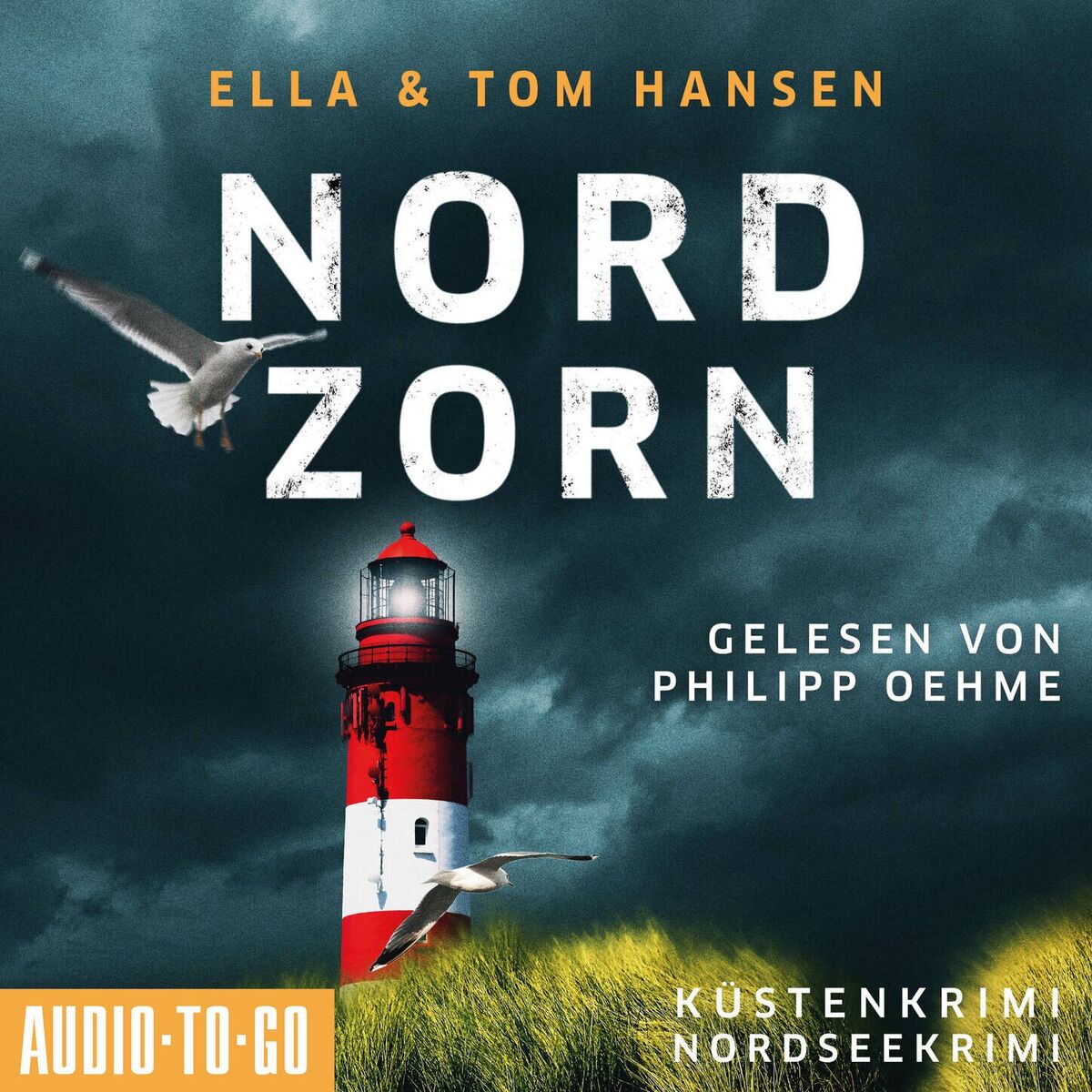Album cover of Kapitel 1 - Nordzorn - Inselpolizei Amrum-Föhr - Küstenkrimi Nordsee, Band 4