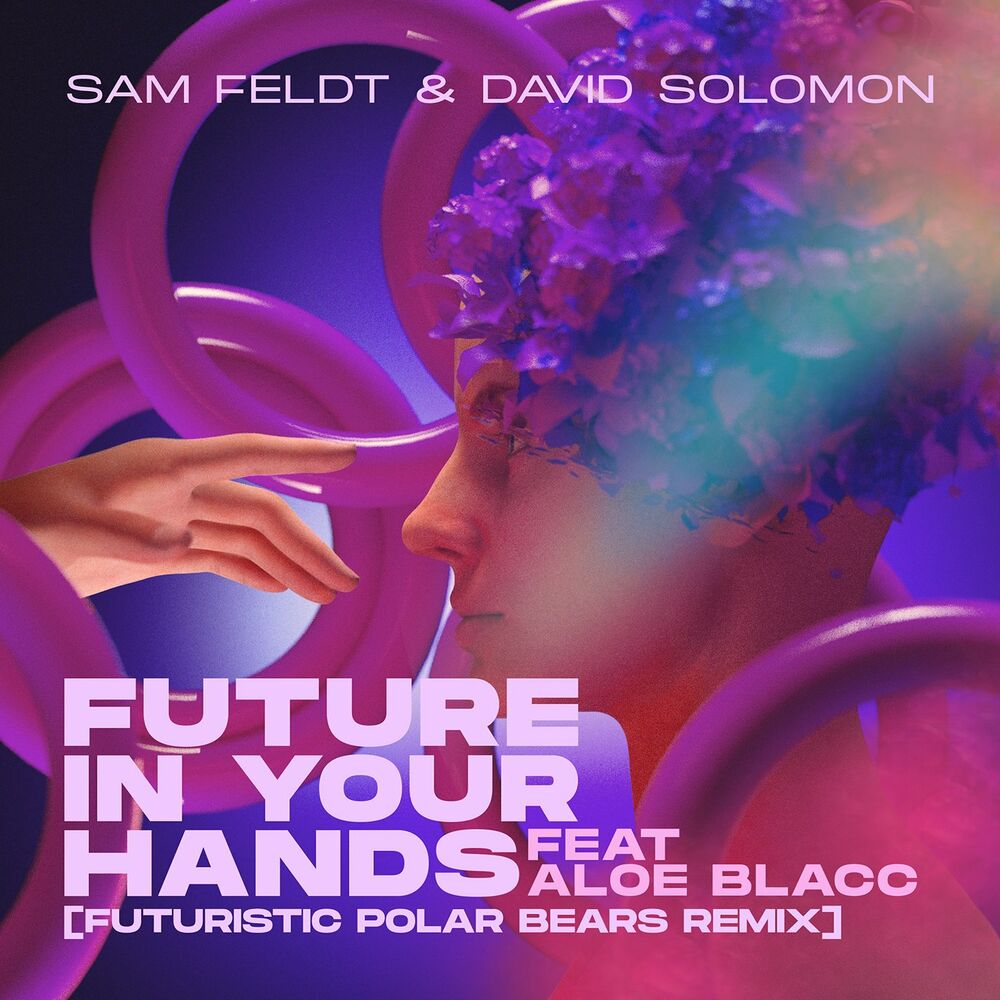 Picture of Future In Your Hands (feat. Aloe Blacc) (Futuristic Polar Bears Remix)