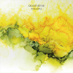 Cover of Pineapple