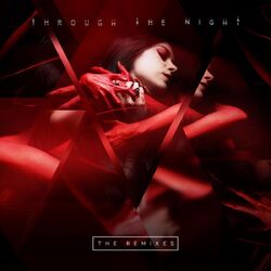 Cover of Through the Night (The Remixes)