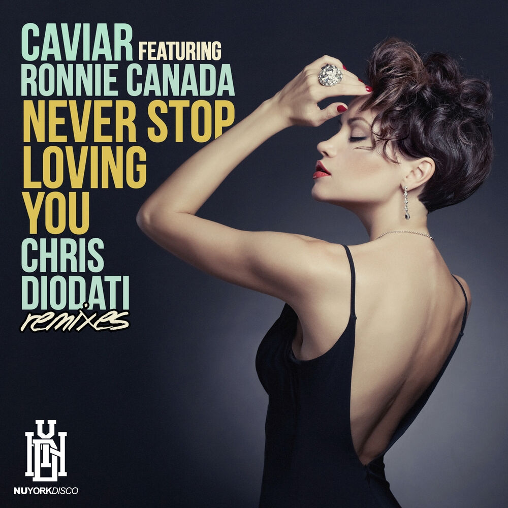 Picture of Never Stop Loving You (Chris Diodati Remixes)