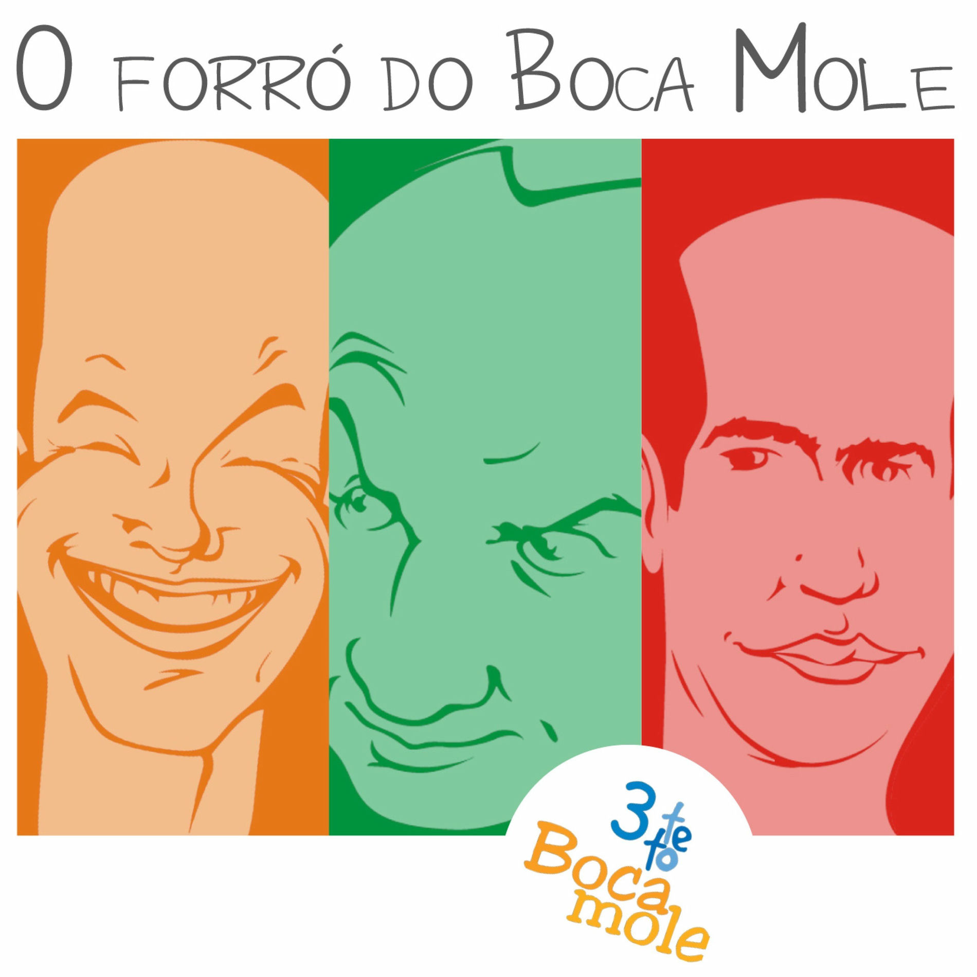 Album cover of O Forró do Boca Mole