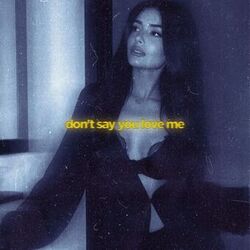 don't say you love me (slowed & reeverb)