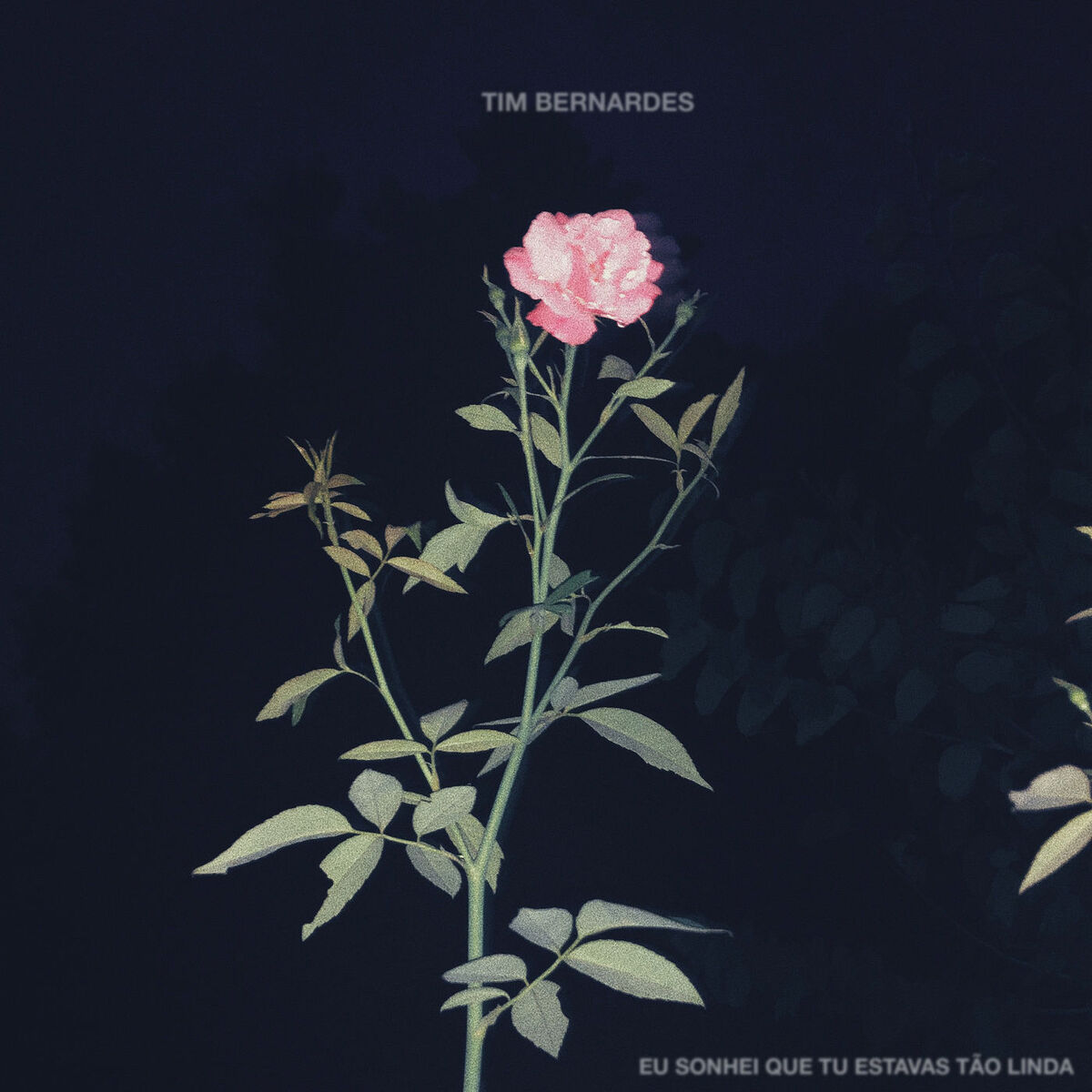 Album cover of Eu Sonhei Que Tu Estavas Tão Linda (Trilha Sonora: Éramos Seis)