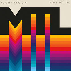 Cover of More to Life