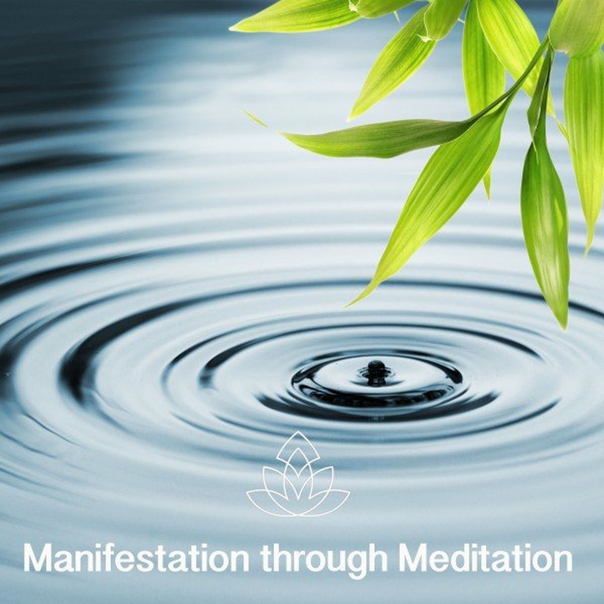 Album cover of 432 Hz Deep Healing Frequency, Pt. 2