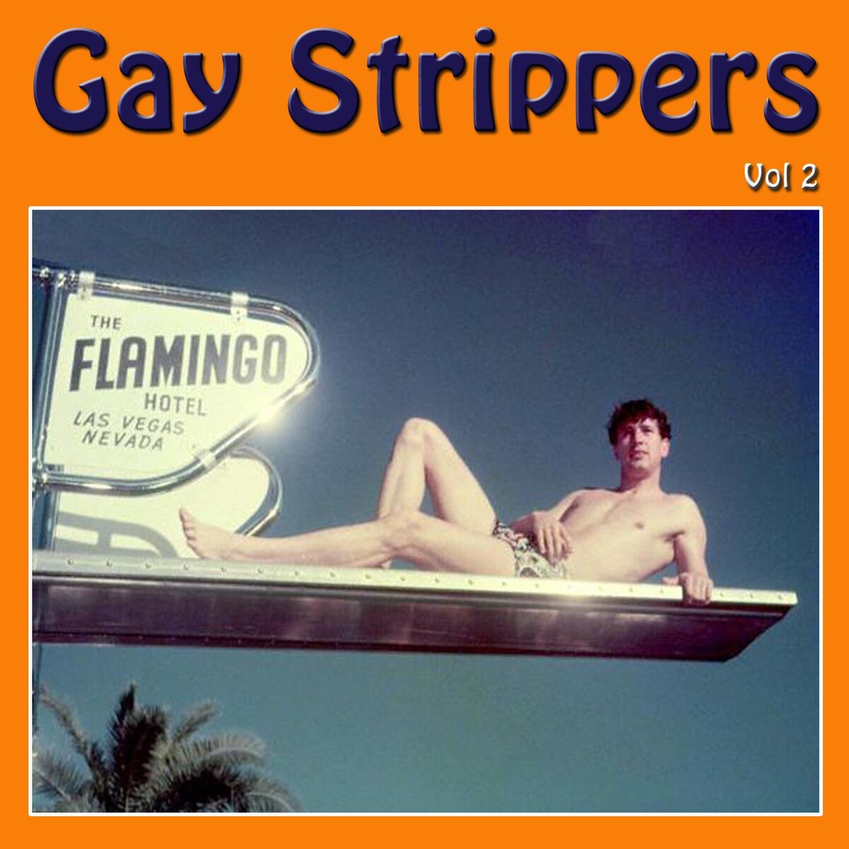 Album cover of Gay Strippers Vol 2