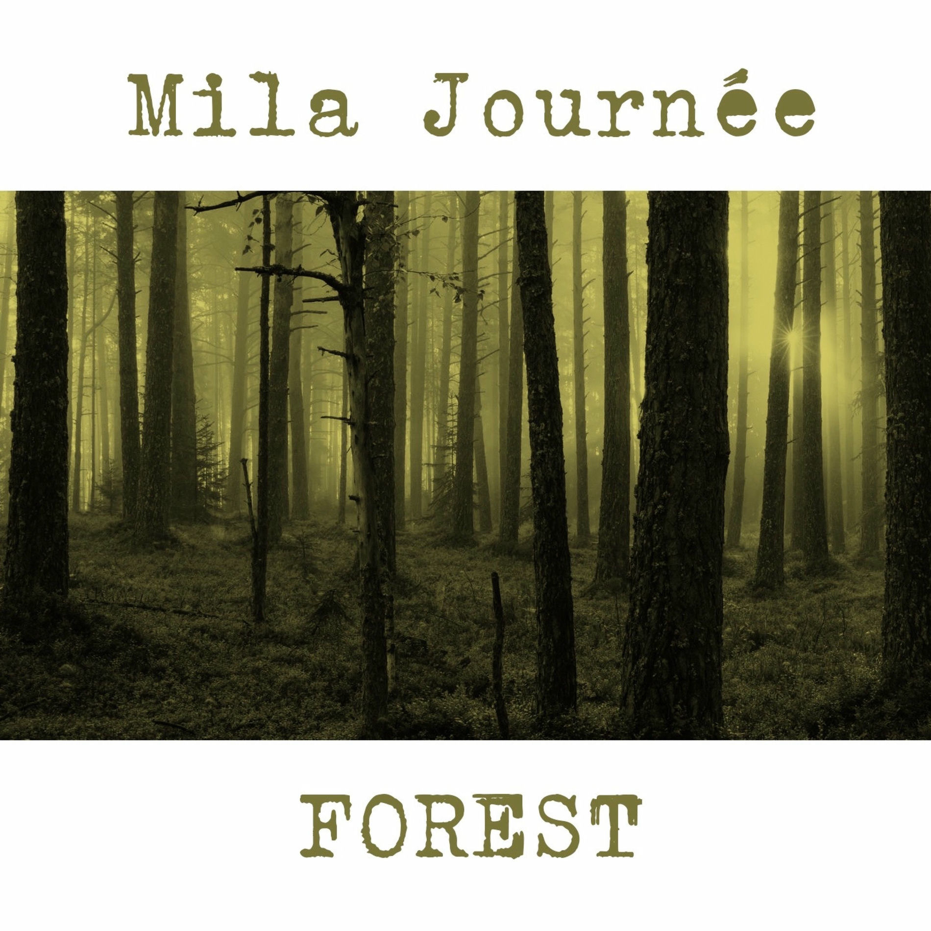 Album cover of Forest