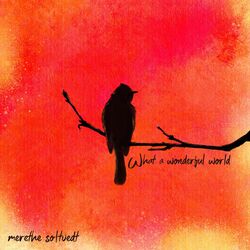 Cover of What a Wonderful World