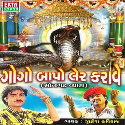 Cover of Gogo Bapo Ler Karave