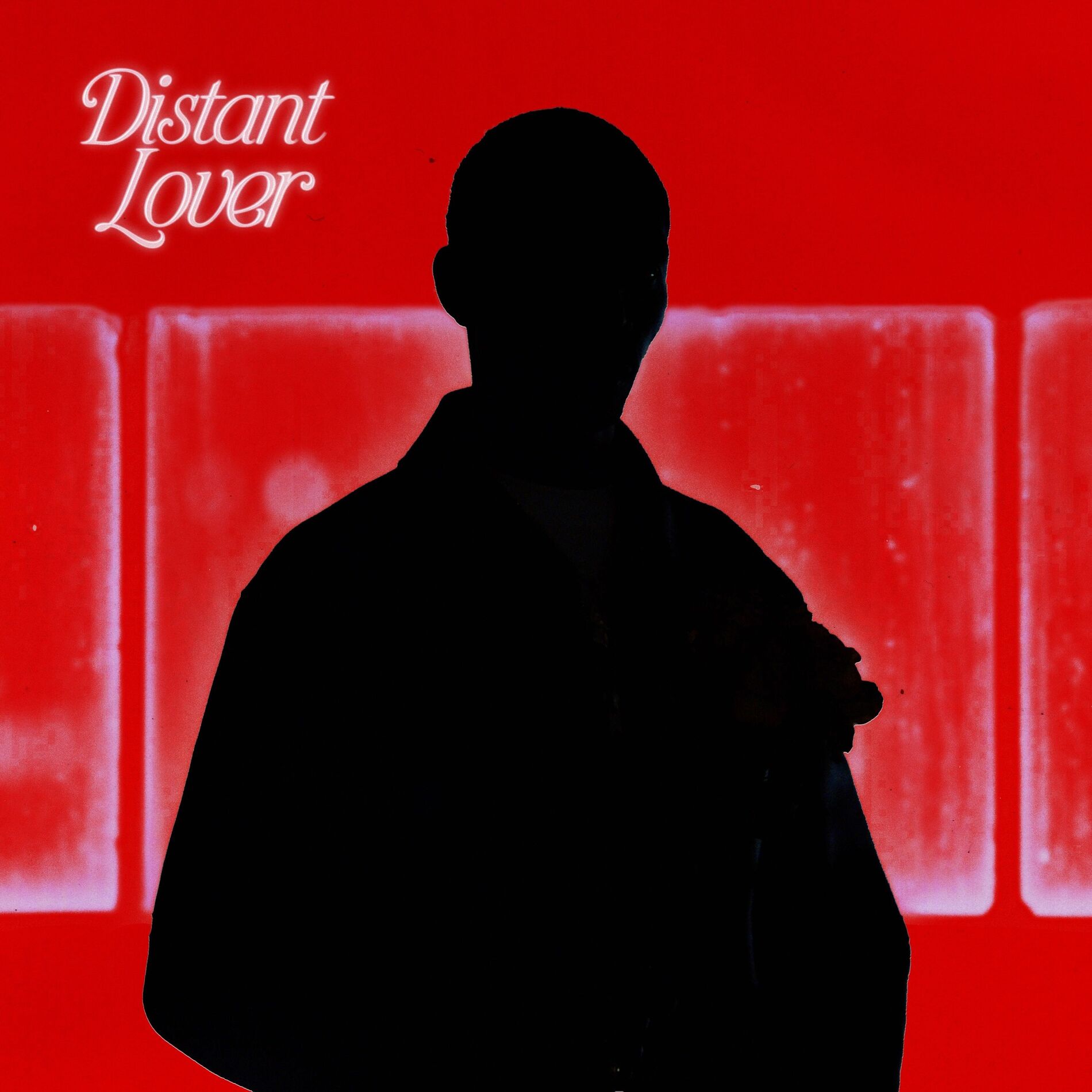 Album cover of Distant Lover