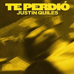 Cover of Te Perdió