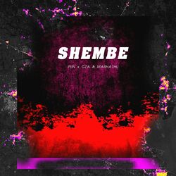 Cover of Shembe
