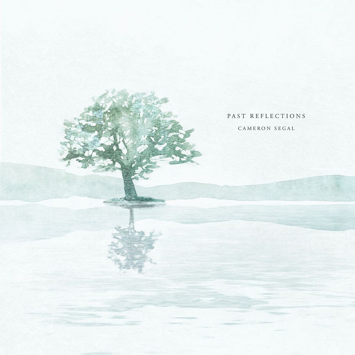 Album cover of Past Reflections