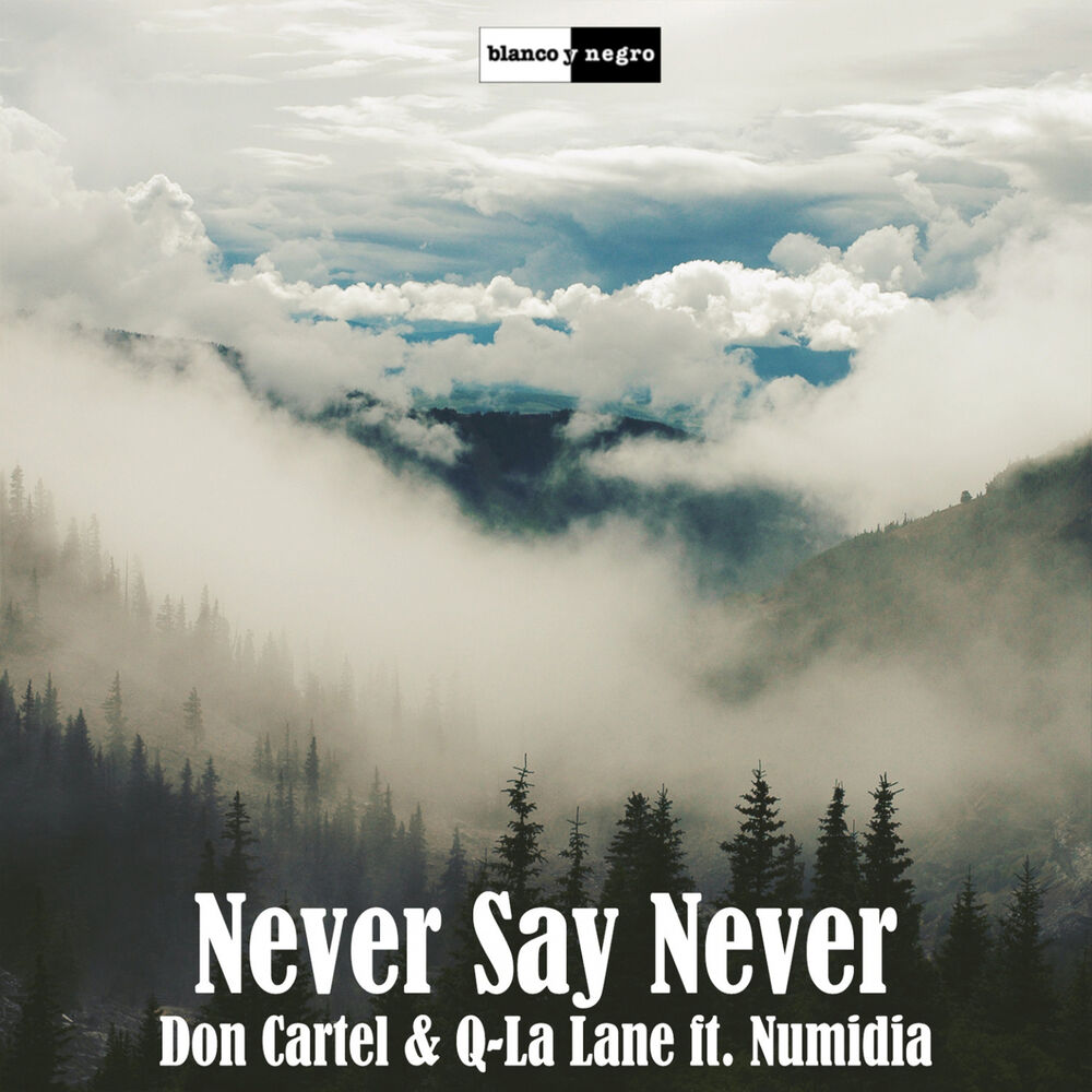 Picture of Never Say Never