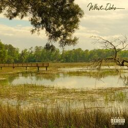 Cover of whiteoaks