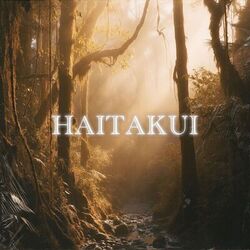 Cover of Haitakui