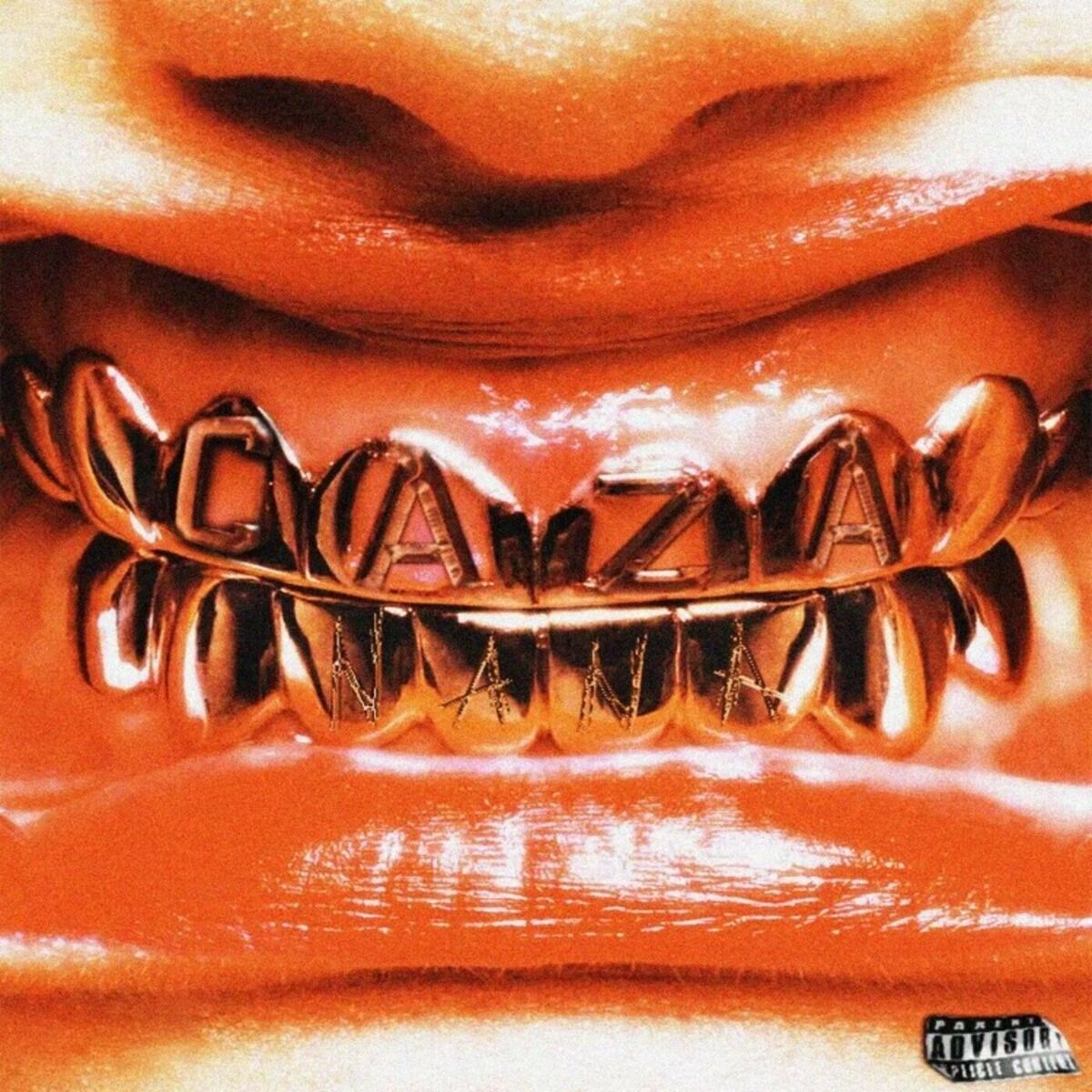 Album cover of NANA