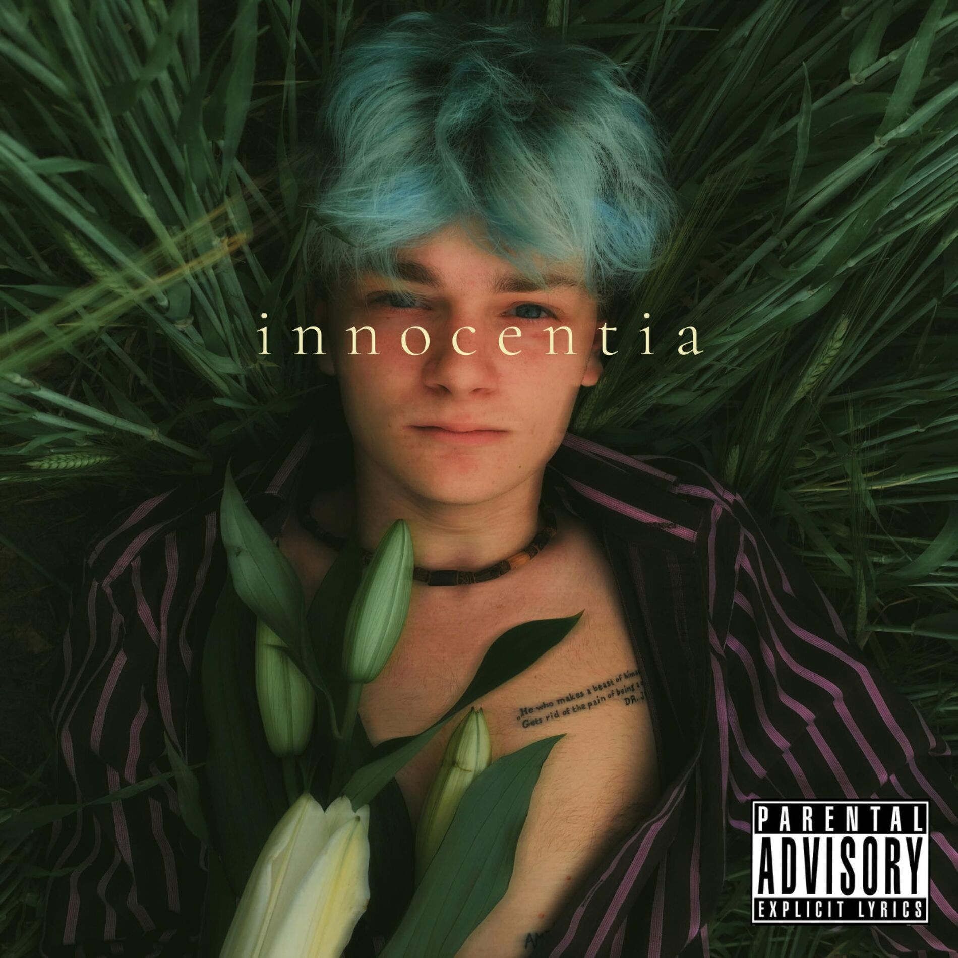 Album cover of innocentia
