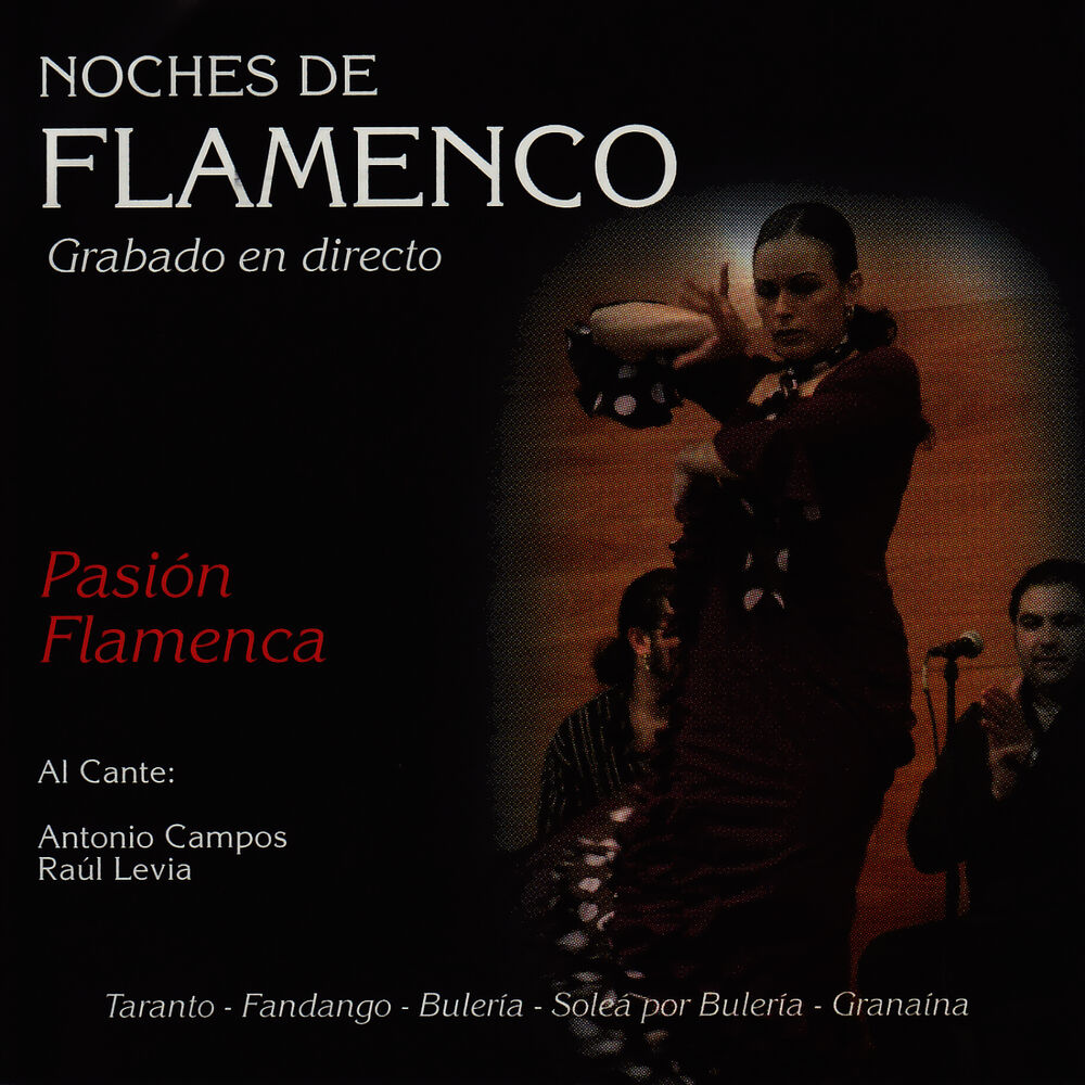 Picture of Noches de Flamenco - Pasión Flamenca