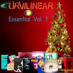 Cover of Curvilinear Essential Vol. 1
