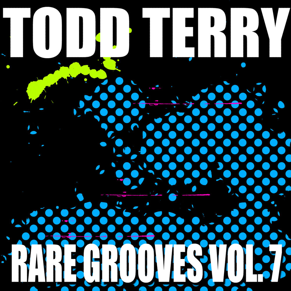 Picture of Todd Terry's Rare Grooves VOL 7