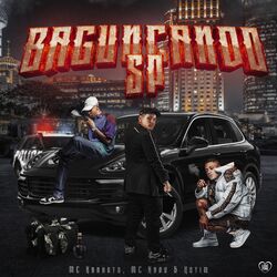 Cover of Bagunçando Sp